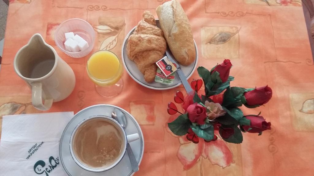 Hotel Du Viscos Λούρδη Εξωτερικό φωτογραφία